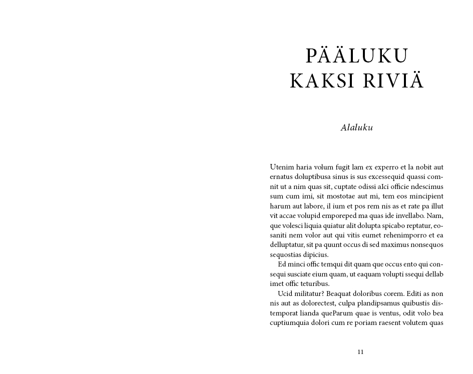 Esimerkki luvun suunnittelusta Rikos ja jännitys klassinen versio